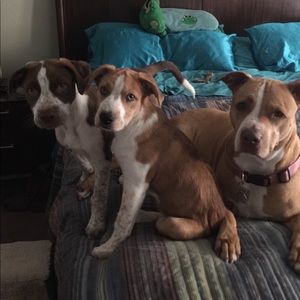 Meet your Posher, Kimberle